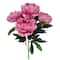 20" Peony Bush by Ashland®